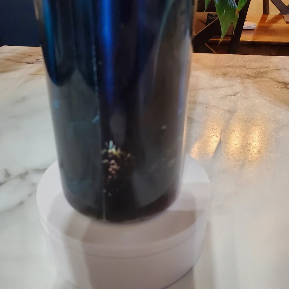 Dolphins 30oz Tumbler 🎉sale